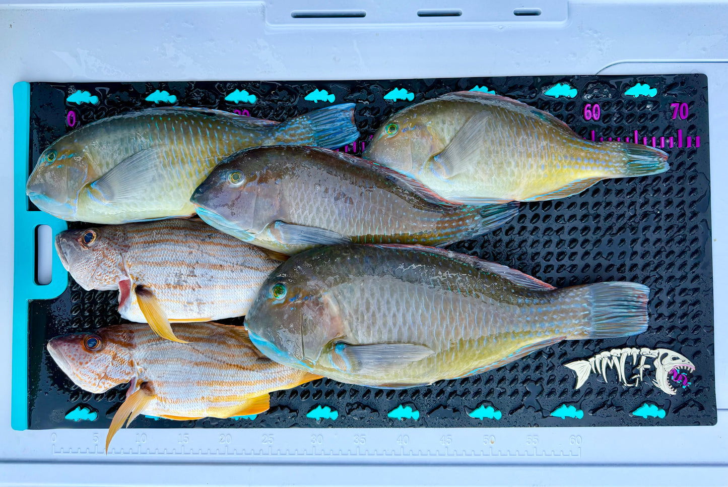 MGF Bonez Fish Mat